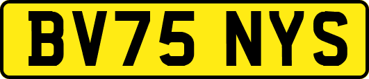 BV75NYS