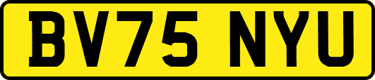 BV75NYU