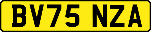BV75NZA