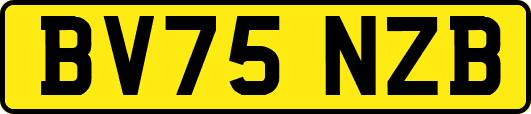 BV75NZB