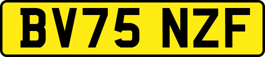 BV75NZF