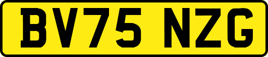 BV75NZG