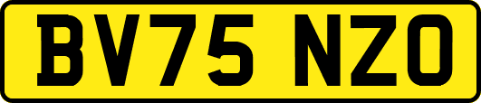 BV75NZO