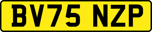 BV75NZP