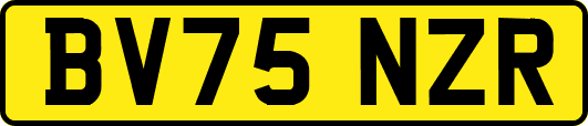 BV75NZR