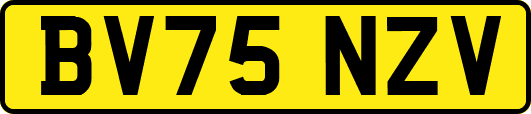 BV75NZV