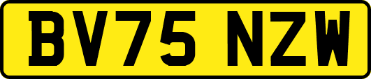 BV75NZW