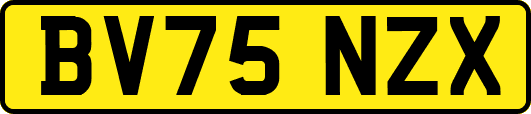 BV75NZX