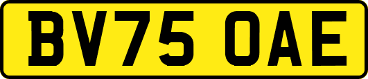 BV75OAE