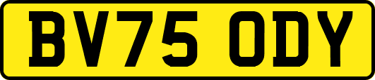 BV75ODY