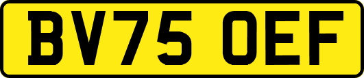 BV75OEF