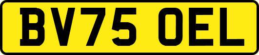 BV75OEL