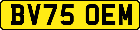 BV75OEM