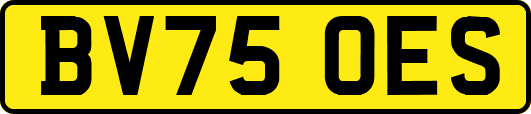 BV75OES