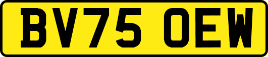 BV75OEW