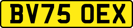BV75OEX
