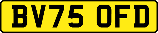 BV75OFD