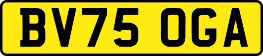 BV75OGA
