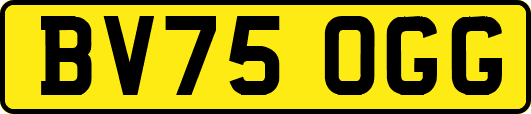 BV75OGG