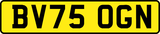 BV75OGN