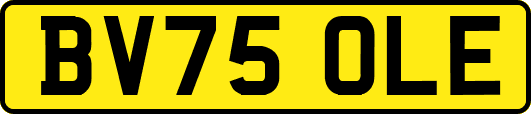 BV75OLE