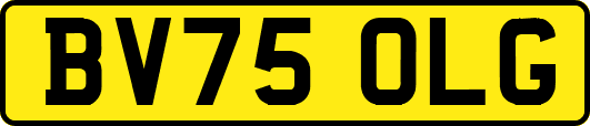 BV75OLG