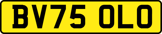 BV75OLO