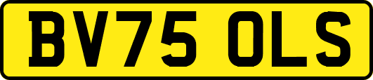BV75OLS