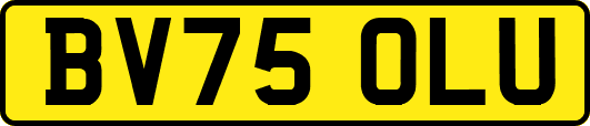 BV75OLU
