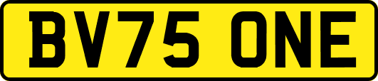 BV75ONE