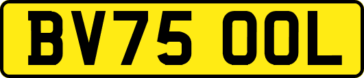 BV75OOL