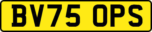 BV75OPS