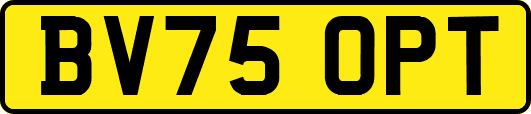 BV75OPT