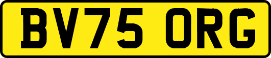 BV75ORG