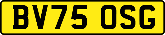 BV75OSG
