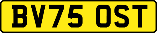 BV75OST