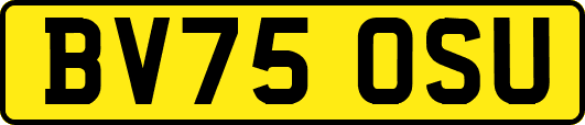 BV75OSU