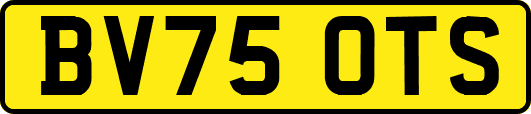 BV75OTS