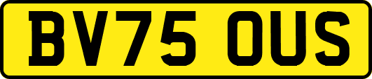 BV75OUS