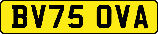 BV75OVA