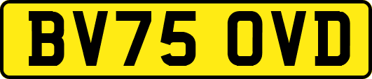 BV75OVD