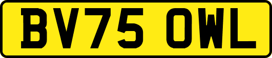 BV75OWL