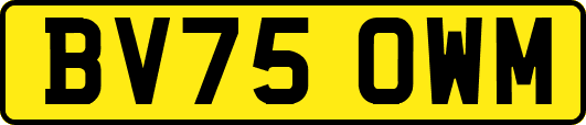 BV75OWM