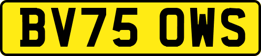 BV75OWS