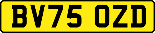 BV75OZD
