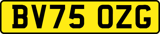 BV75OZG