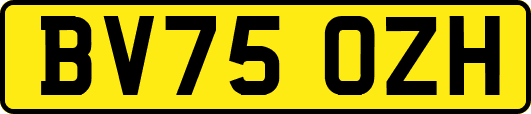 BV75OZH