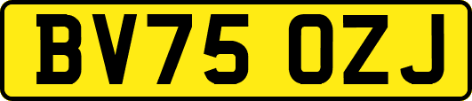 BV75OZJ