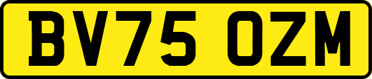BV75OZM