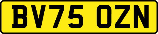BV75OZN